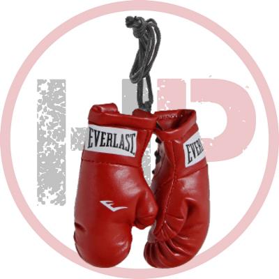 Брелок Everlast Mini Boxing Glove In Pairs